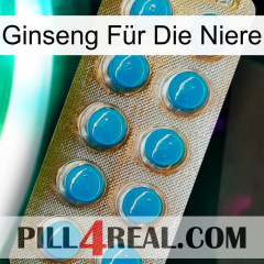 Ginseng Für Die Niere new09